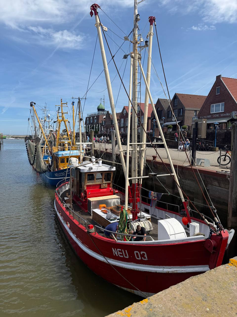 Sperber im Hafen Neuharlingersiel