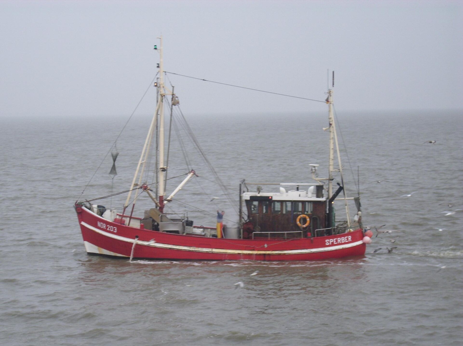 Sperber NOR 203 auf See im Nebel